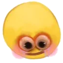 shit
