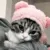 z_catcute