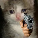 CatGun