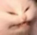 bigech