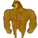 chadcheems chadcheems
