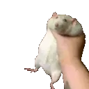 RatShake