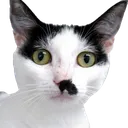 catstache Discord Emoji