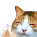 hepicat_thumbsup Discord Emoji