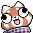 PabooDerp