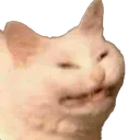 bleh bleh