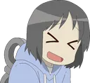 NanoXD