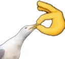 shut