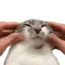copecat copecat