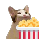 popcat_popcorn