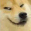 doge_smirk doge_smirk