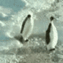 penguin_slap Discord emoji