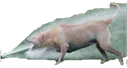 WHARRGARBL