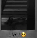 uwu Discord Emoji