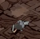tinyvermin