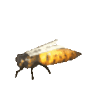 :queenbee: