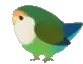 birbroll3