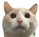 ch_ganystare Discord emoji