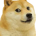 doge_vanish doge_vanish