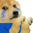 doge_beg