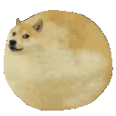 dogeball
