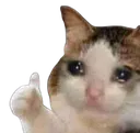 SadCatThumb