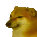 bonk