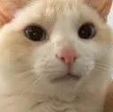 ch_ganycringe