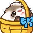 limesBasket