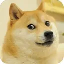 doge Discord Emoji