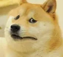 Dogecringe Discord Emoji