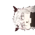 lappwide1