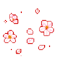 pinkflowers
