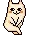 cat cat