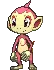 ShinyChimchar
