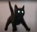 feralbreeze feralbreeze