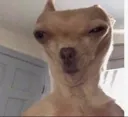 woT