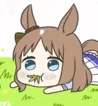 Chew Chew