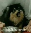 yeontan