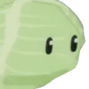 cabbage