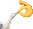 SeagullShut SeagullShut