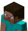 steve_top