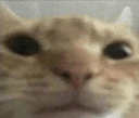 hi Discord emoji