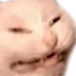 SCWangery
