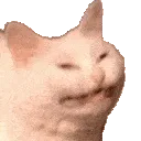 SCWshake2