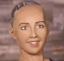 ai ai