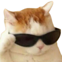 5_CoolCat
