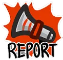 report