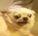 concerned
