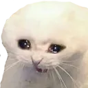 Sad_Kat